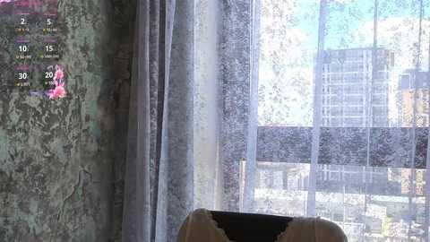 cwenhardey @ chaturbate on 20250707