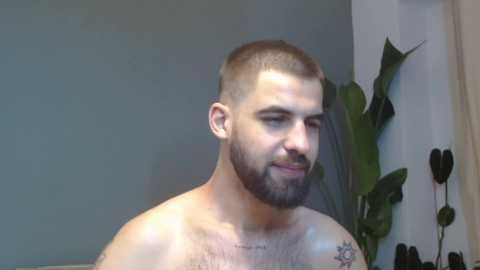 hairyrobxxx @ chaturbate on 20250707