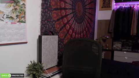 folleti7 @ chaturbate on 20250709