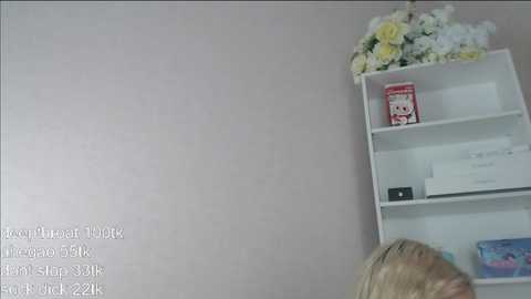 vickyfuckingdoll @ chaturbate on 20250709