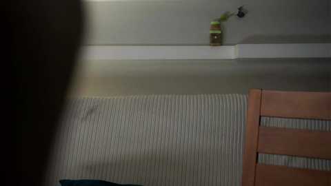 zeldaes @ chaturbate on 20250709