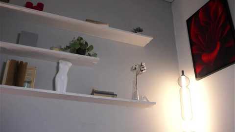 amy_alle @ chaturbate on 20250710