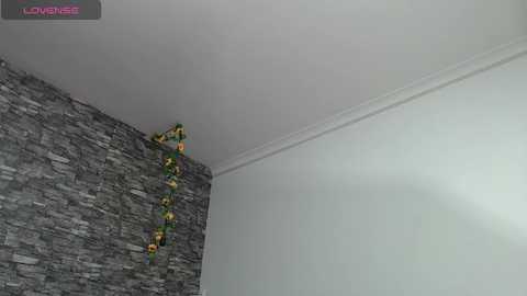 iris_joi @ chaturbate on 20250710
