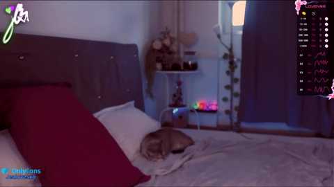 jeniferlovex @ chaturbate on 20250710