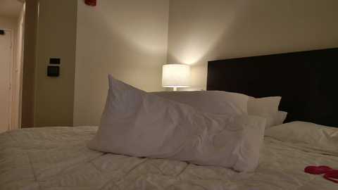 missy_land @ chaturbate on 20250710
