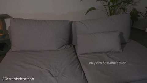 annie_dreams @ chaturbate on 20250711