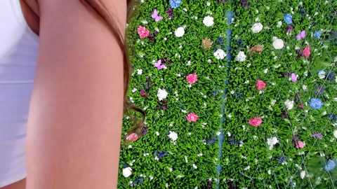 babyaylin @ chaturbate on 20250711