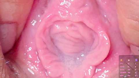 horny_moly @ chaturbate on 20250712