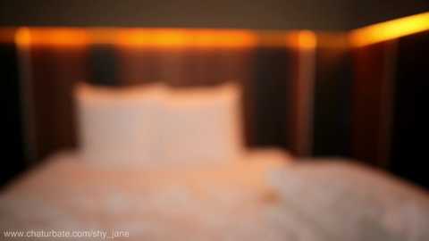shy_jane @ chaturbate on 20250712