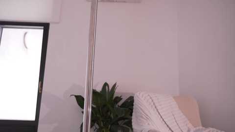 alissa_wxw @ chaturbate on 20250713