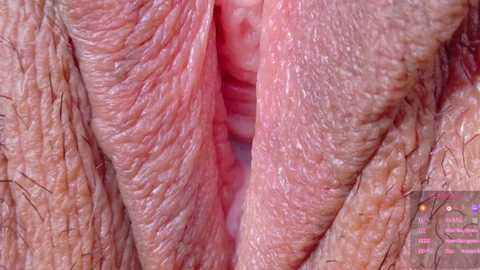 horny_moly @ chaturbate on 20250713