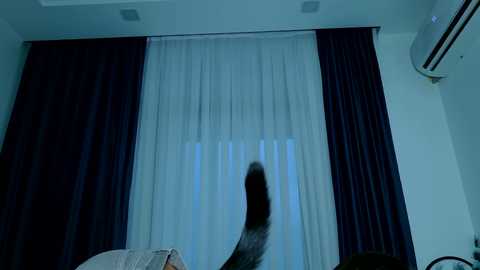brenda_m00n @ chaturbate on 20250714