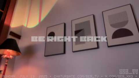 seb_tv @ chaturbate on 20250714