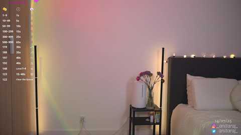 anitaraj_ @ chaturbate on 20250715