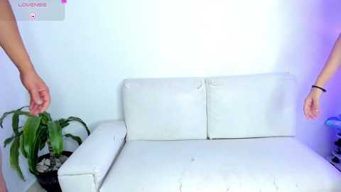 party_rachael @ chaturbate on 20250715