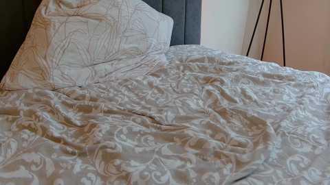 Media: lena___ Chaturbate 2025-07-16 11:23:00