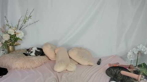 fit_american_girl @ chaturbate on 20250717