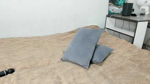 anny_leps @ chaturbate on 20250718