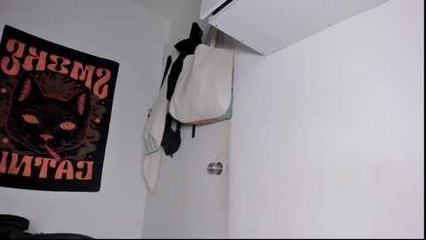 halan_jr @ chaturbate on 20250718
