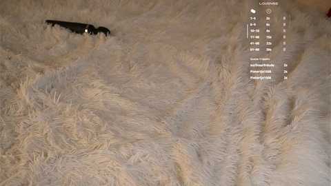 czamabech @ chaturbate on 20250719