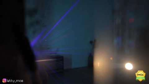 lettymoa @ chaturbate on 20250720