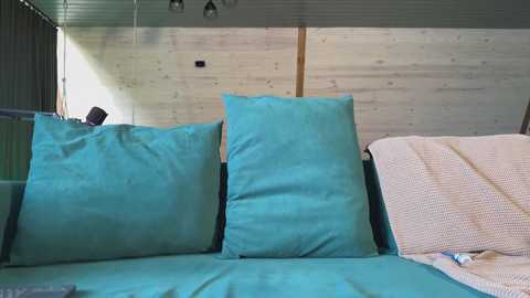twixsex @ chaturbate on 20250720