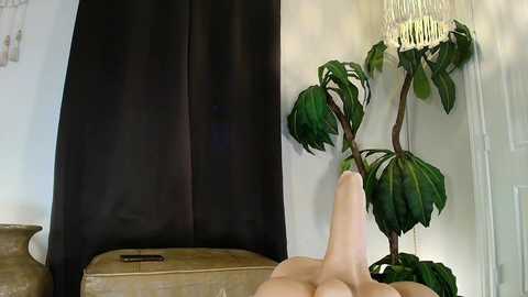 Media: tatums_fantasyland Chaturbate 2025-07-21 14:17:00