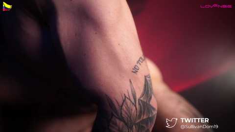 Media: dominic_sullivan1 Chaturbate 2025-07-23 05:29:00