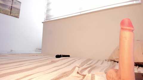 itsbellax @ chaturbate on 20250723