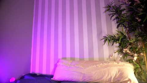 littlee33 @ chaturbate on 20250723