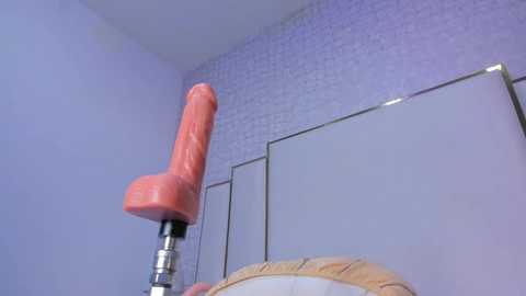 paolaa_rodriguez @ chaturbate on 20250723