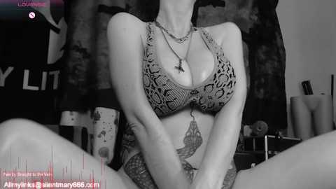 silentmary @ chaturbate on 20250723