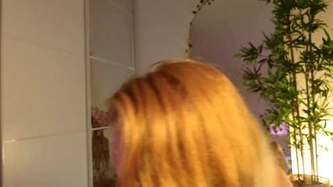 sofiaaaxoxoxo @ chaturbate on 20250723