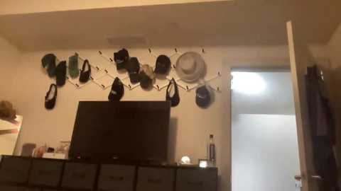 stassiethatsororitygirl @ chaturbate on 20250723