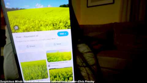 x_lily_x @ chaturbate on 20250723
