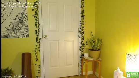skybella_ @ chaturbate on 20250724
