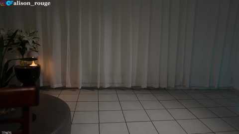 alisonrouge @ chaturbate on 20250725