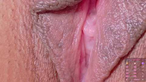 horny_moly @ chaturbate on 20250725