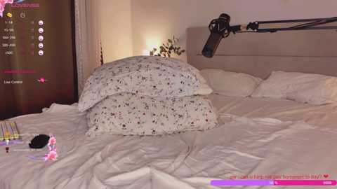 rose_monarch @ chaturbate on 20250726