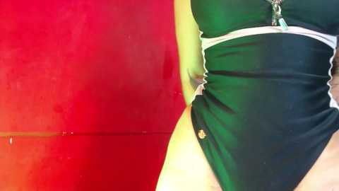 aitanarus @ chaturbate on 20250727