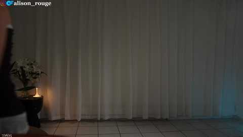 alisonrouge @ chaturbate on 20250727