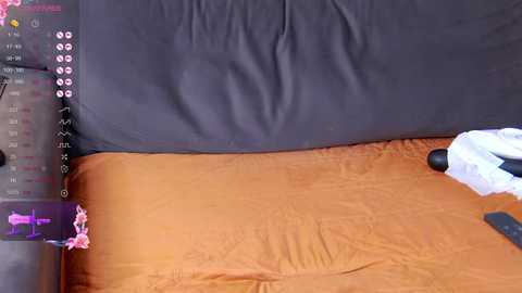 brightrays__ @ chaturbate on 20250727