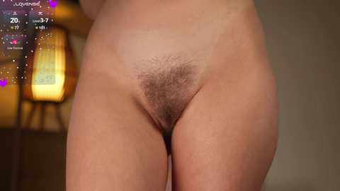 orsonhot @ chaturbate on 20250727