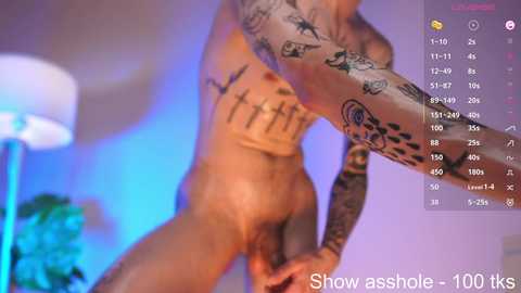 stepwise_ @ chaturbate on 20250729