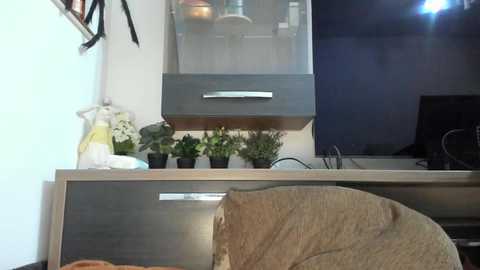 mellbell_ @ chaturbate on 20250730