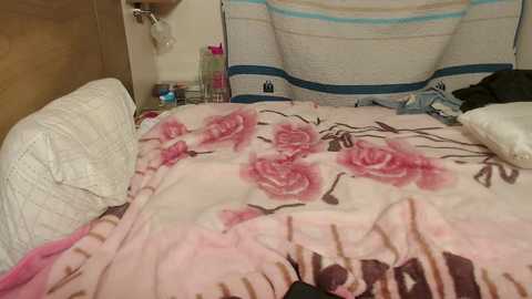 aladino_ms @ chaturbate on 20250731