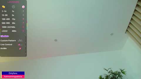 angel_danm_milf @ chaturbate on 20250731