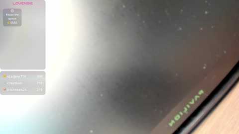lady_wind @ chaturbate on 20250731