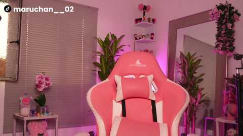 maru_chan_ @ chaturbate on 20250731