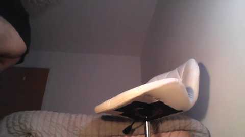 shaggytopple @ chaturbate on 20250731